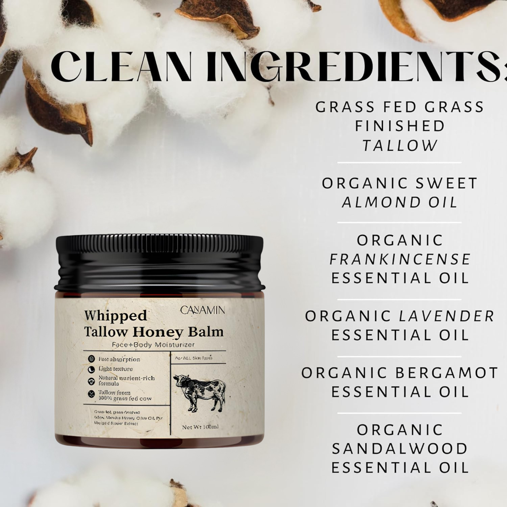 A single green leaf against a white background.