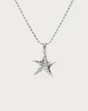 Gold Starfish - Necklace - Stainless Steel
