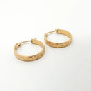 Alexa - Oorbellen - Stainless Steel