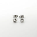 Femke - Studs - Oorbellen - Stainless Steel