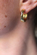 Nuria - Plated - Earrings - Stainless Steel