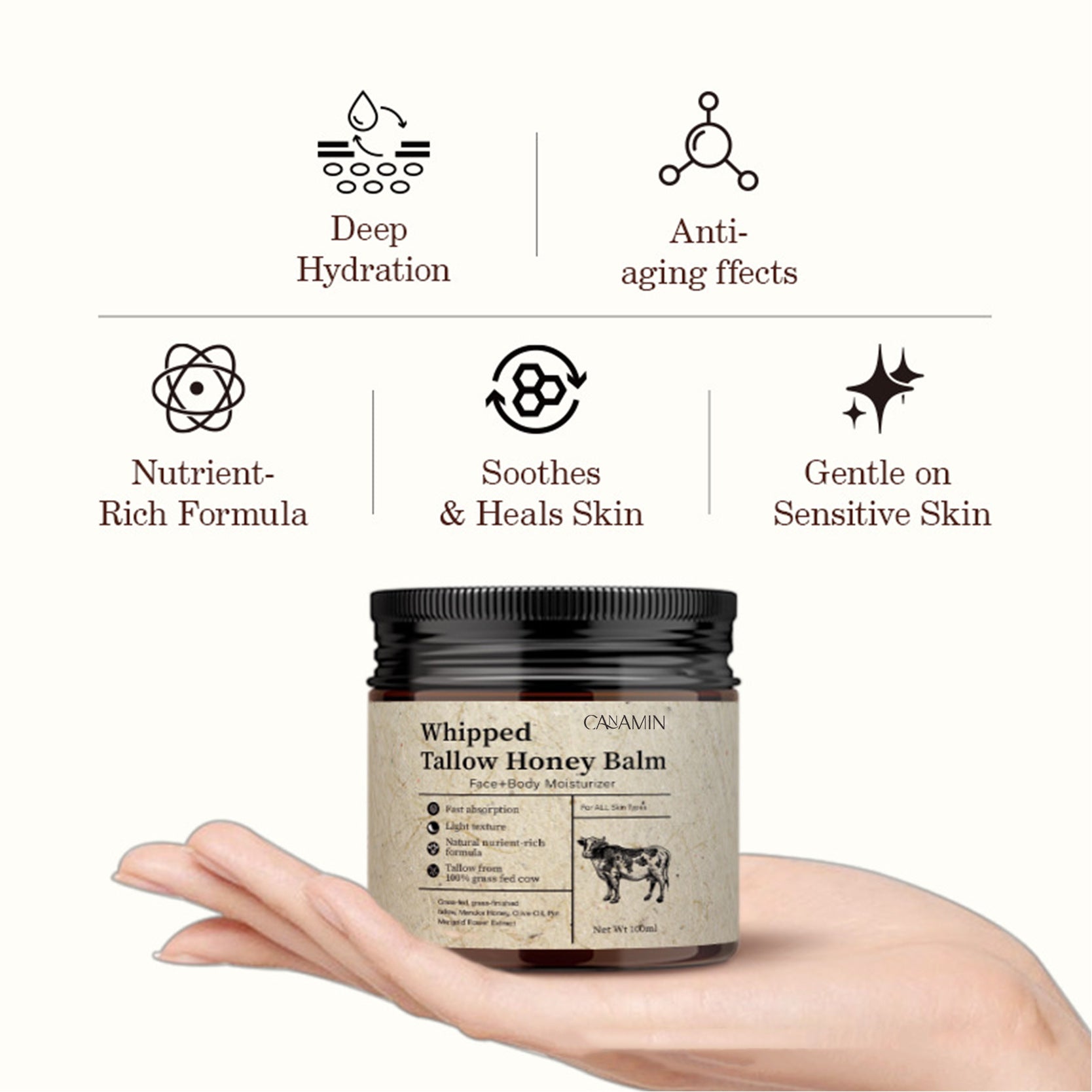 A single green leaf against a white background.