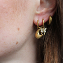 Sparkly Butterfly - Oorbellen - Stainless Steel